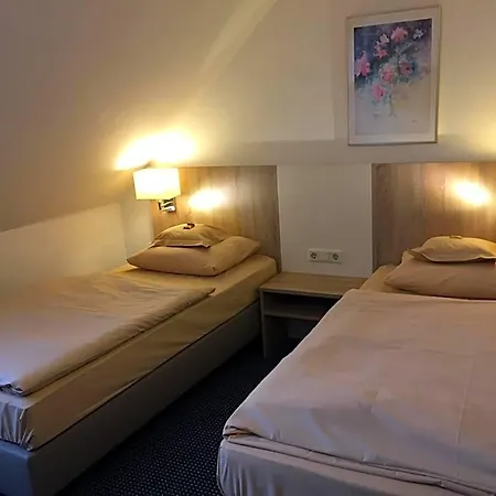 Kelkheimer Hof Hotel 3*